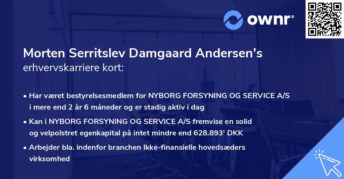 Morten Serritslev Damgaard Andersen's erhvervskarriere kort