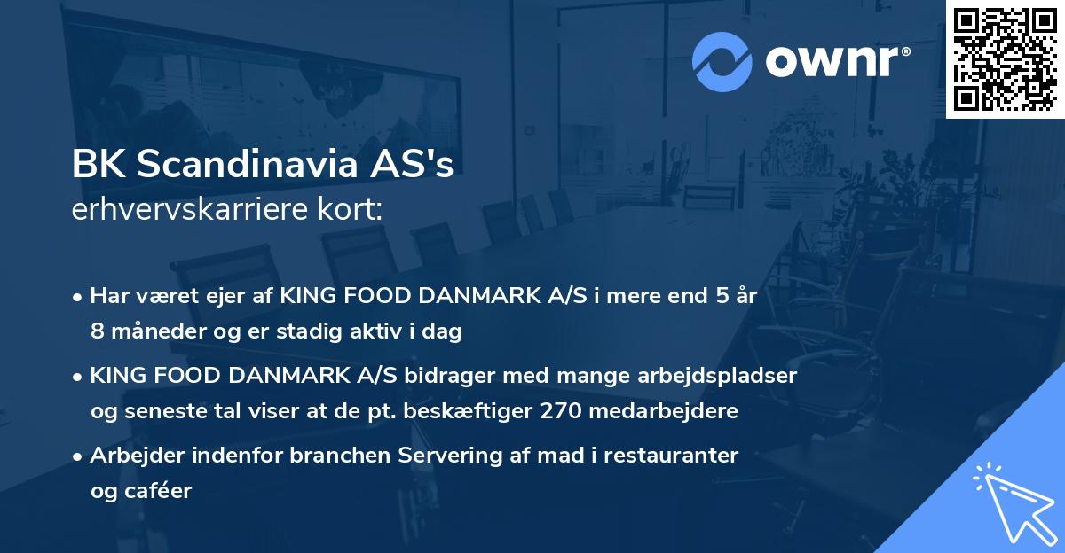 BK Scandinavia AS's erhvervskarriere kort