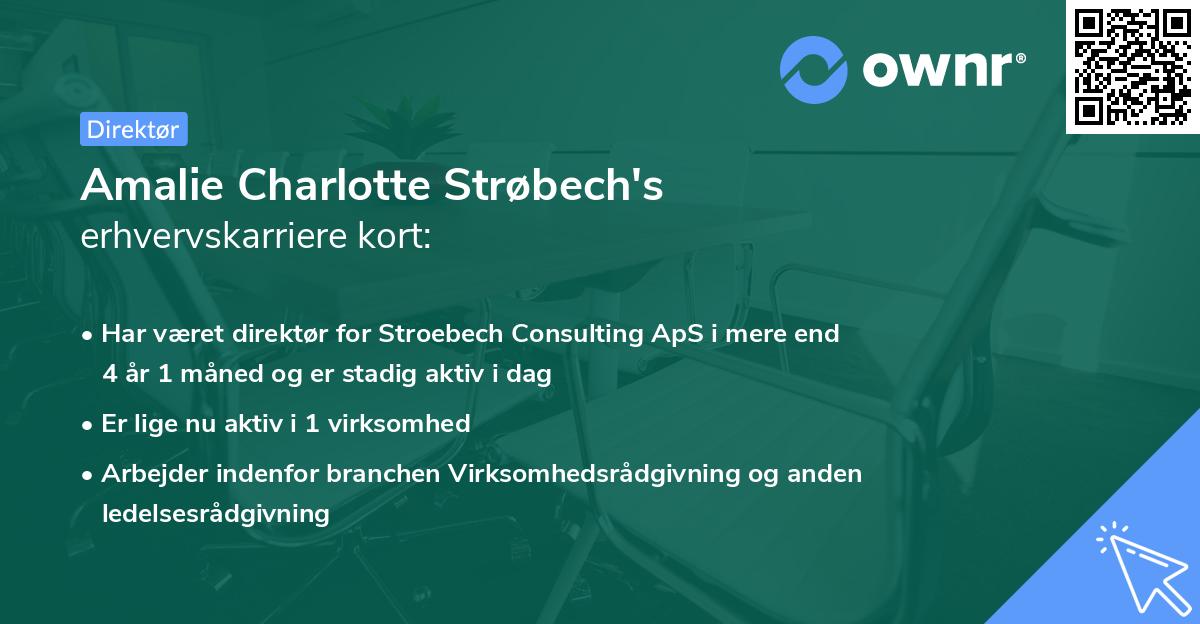 Amalie Charlotte Strøbech's erhvervskarriere kort