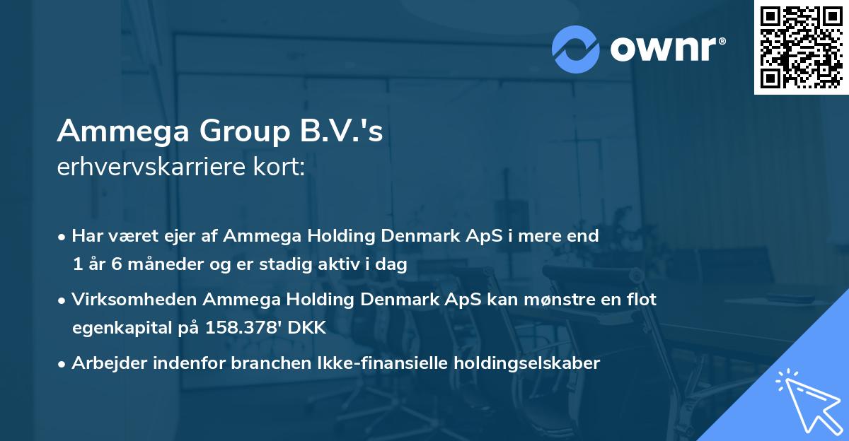 Ammega Group B.V.'s erhvervskarriere kort