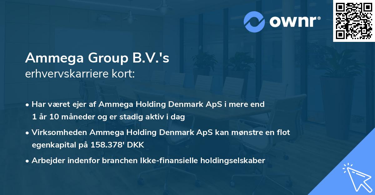 Ammega Group B.V.'s erhvervskarriere kort