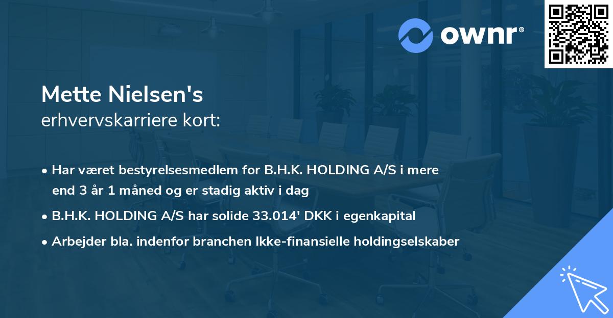 Mette Nielsen's erhvervskarriere kort