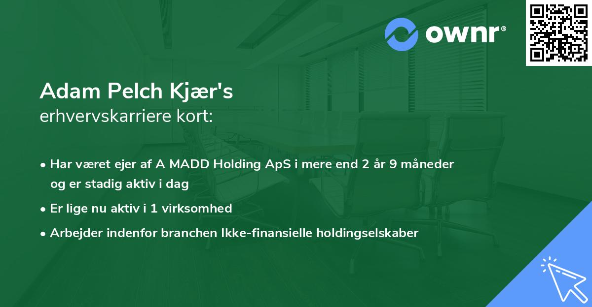 Adam Pelch Kjær's erhvervskarriere kort
