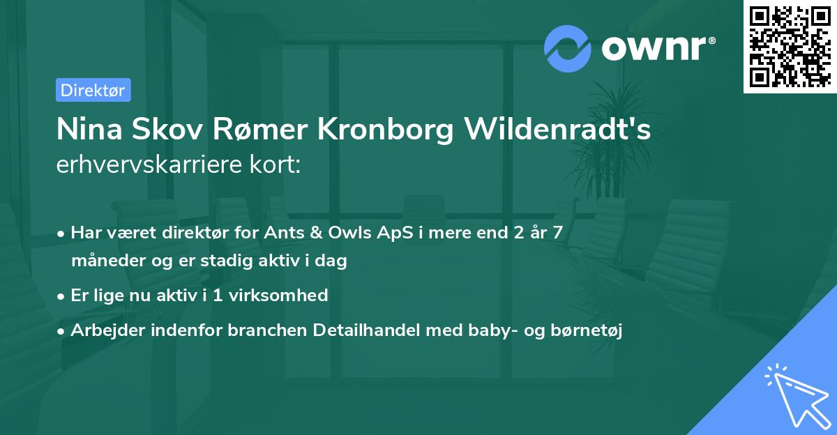 Nina Skov Rømer Kronborg Wildenradt's erhvervskarriere kort