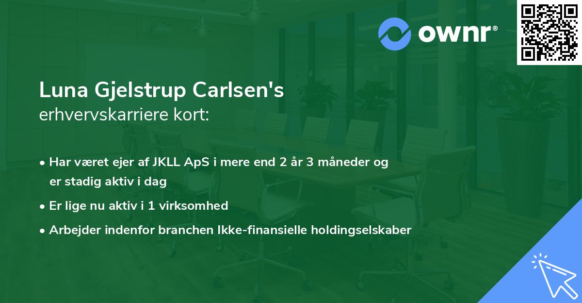 Luna Gjelstrup Carlsen's erhvervskarriere kort