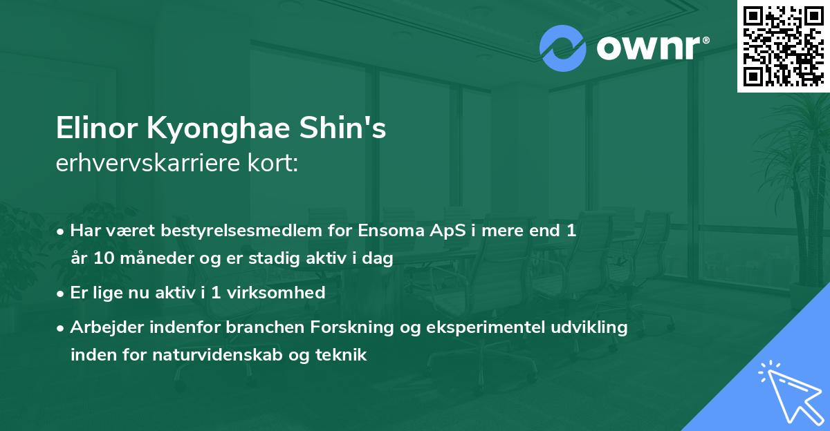 Elinor Kyonghae Shin's erhvervskarriere kort