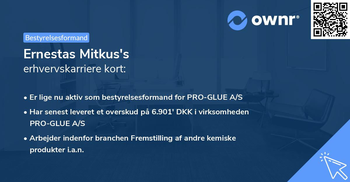 Ernestas Mitkus's erhvervskarriere kort