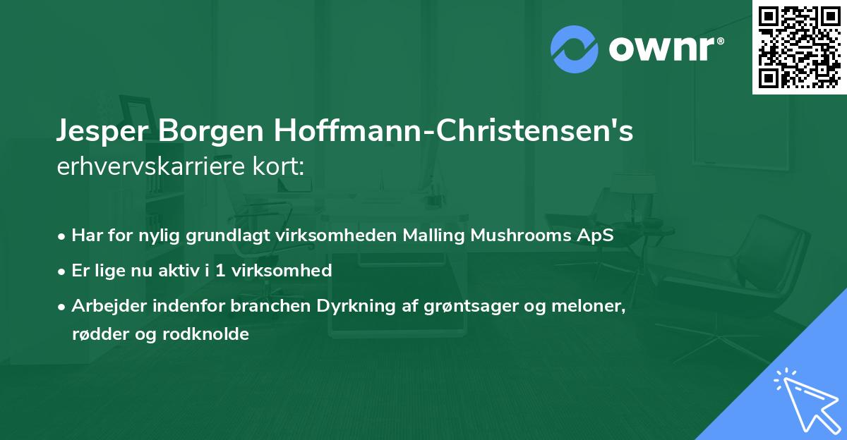Jesper Borgen Hoffmann-Christensen's erhvervskarriere kort