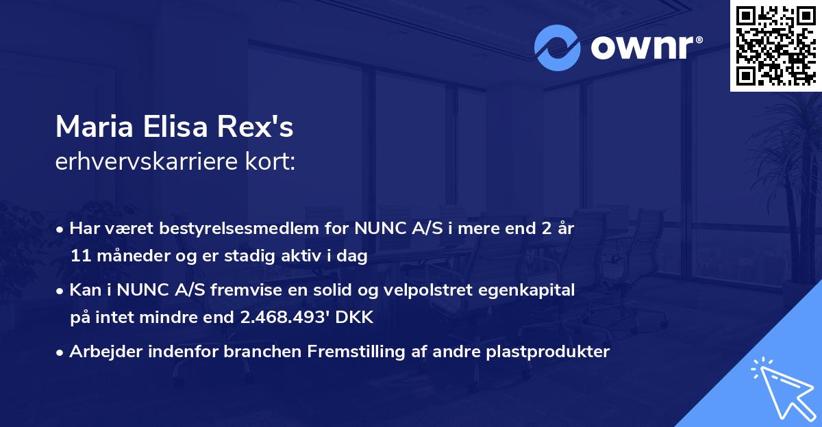 Maria Elisa Rex's erhvervskarriere kort