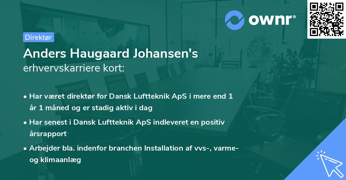 Anders Haugaard Johansen's erhvervskarriere kort