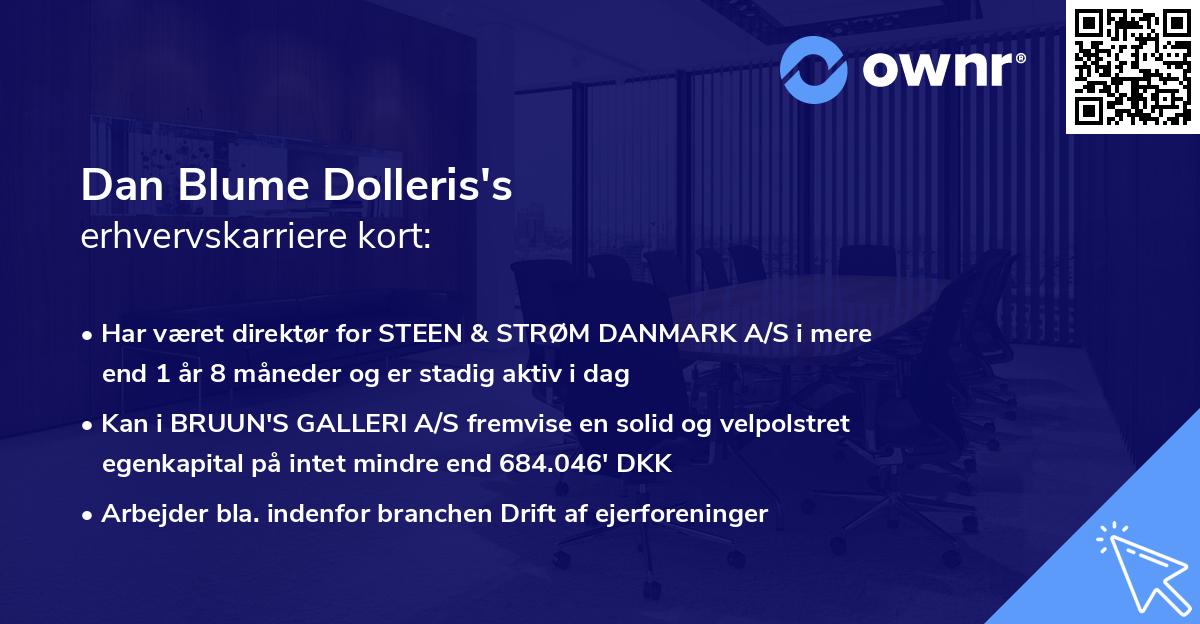 Dan Blume Dolleris's erhvervskarriere kort