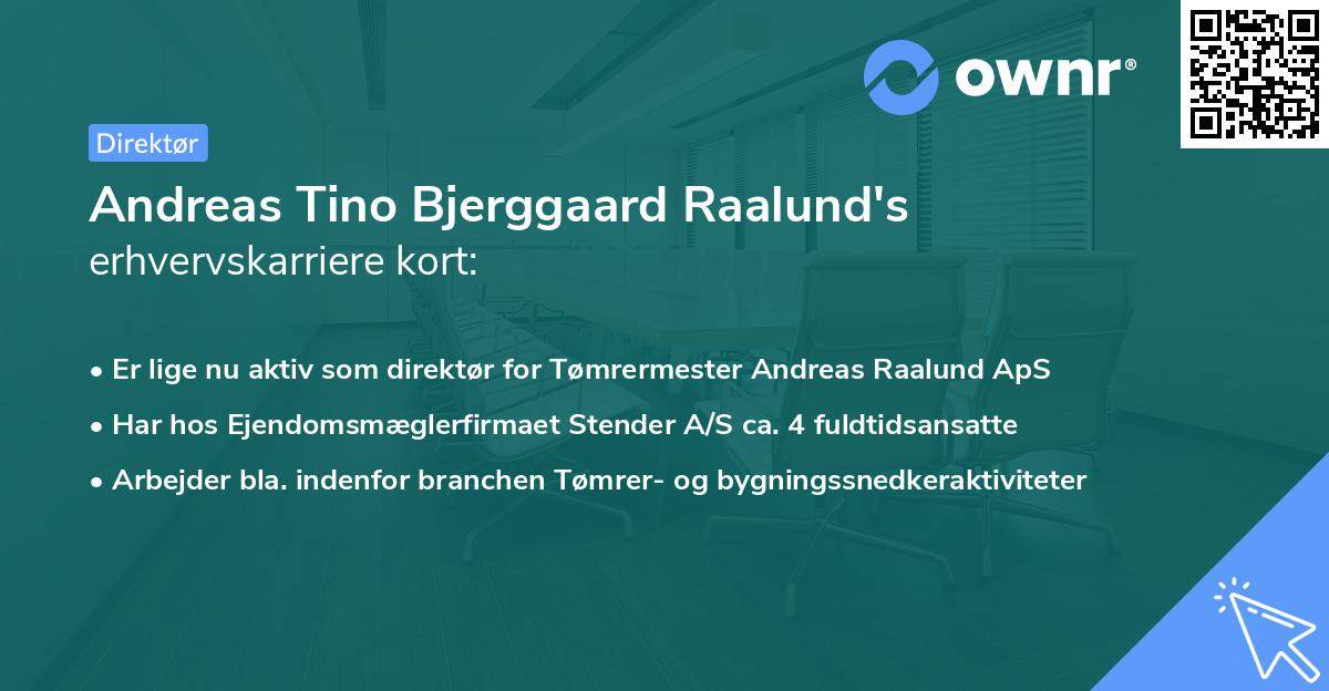 Andreas Tino Bjerggaard Raalund's erhvervskarriere kort