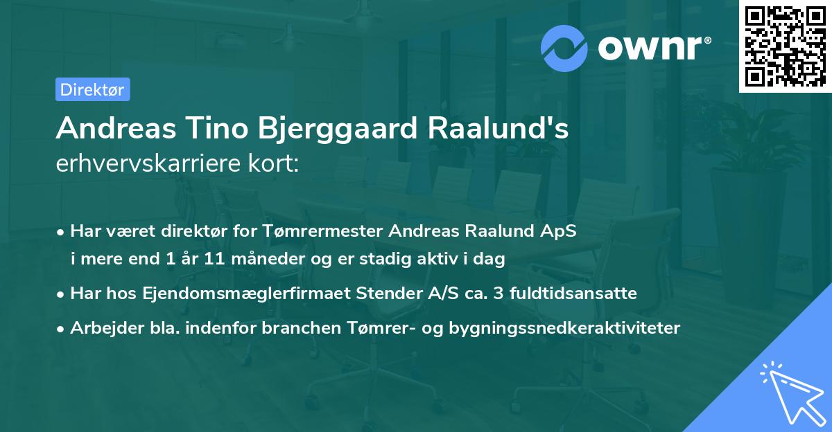 Andreas Tino Bjerggaard Raalund's erhvervskarriere kort