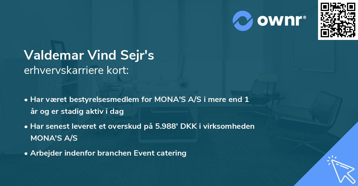 Valdemar Vind Sejr's erhvervskarriere kort