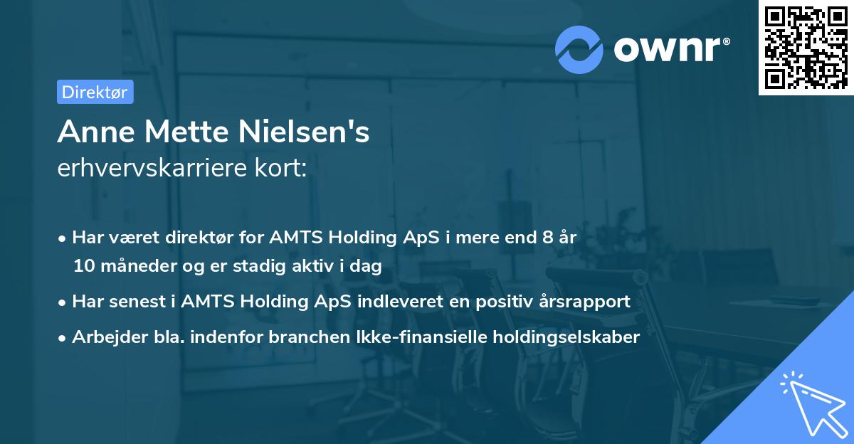 Anne Mette Nielsen's erhvervskarriere kort