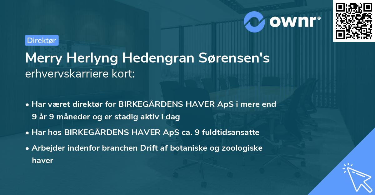 Merry Herlyng Hedengran Sørensen's erhvervskarriere kort