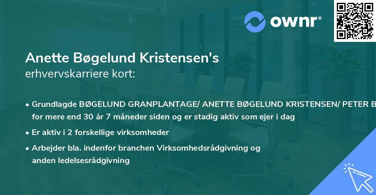 Anette Bøgelund Kristensen's erhvervskarriere kort