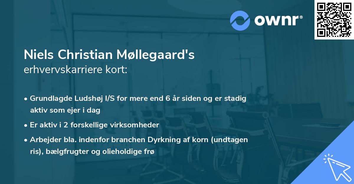 Niels Christian Møllegaard's erhvervskarriere kort