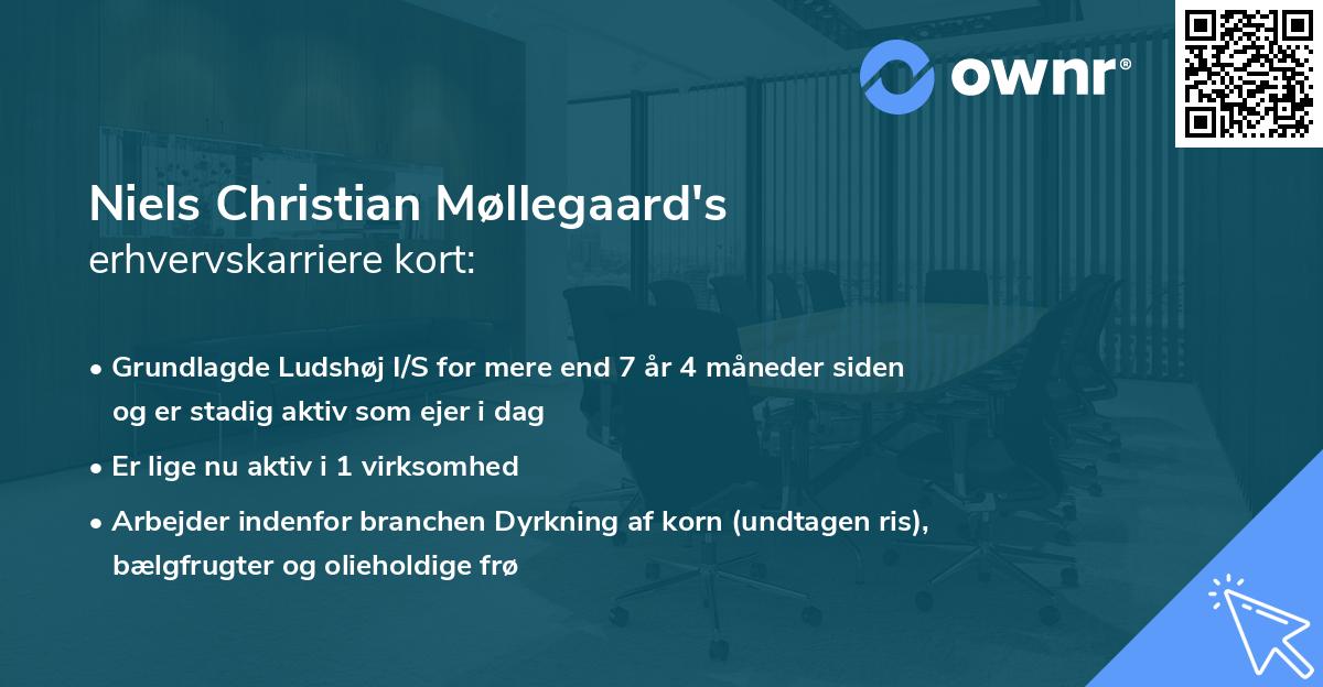 Niels Christian Møllegaard's erhvervskarriere kort