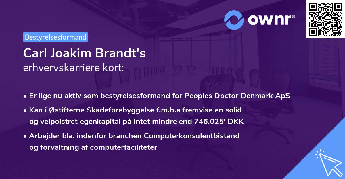 Carl Joakim Brandt's erhvervskarriere kort