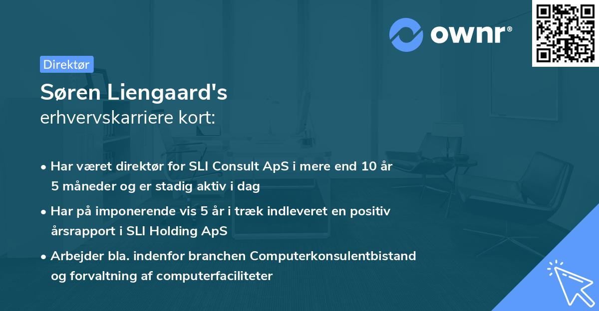 Søren Liengaard's erhvervskarriere kort