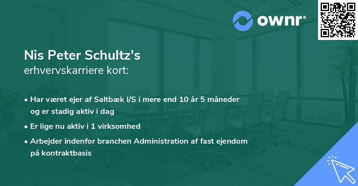 Nis Peter Schultz's erhvervskarriere kort