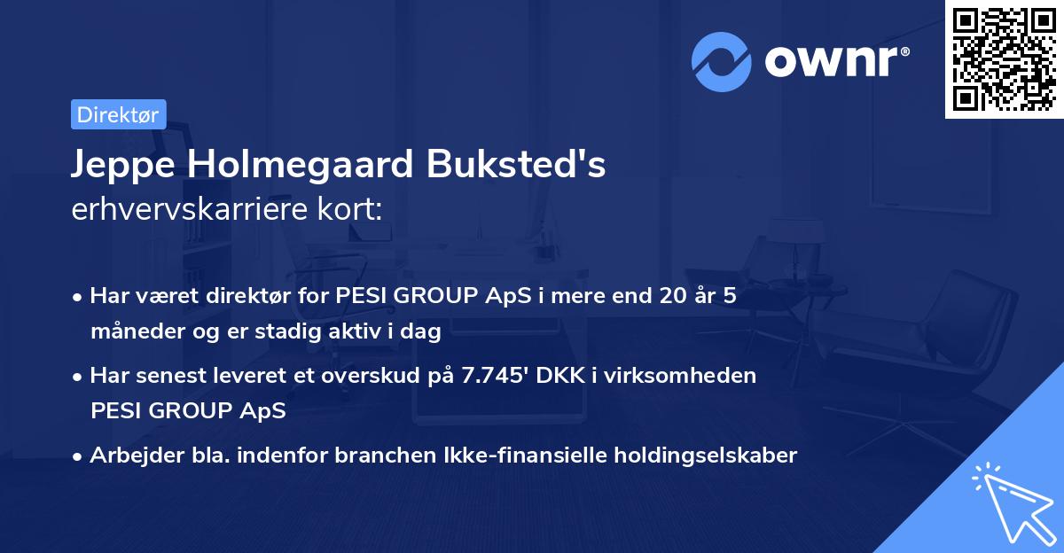 Jeppe Holmegaard Buksted's erhvervskarriere kort