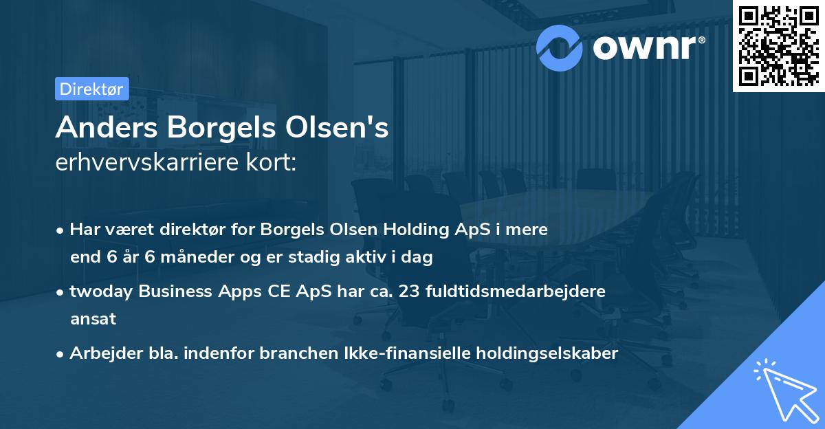 Anders Borgels Olsen's erhvervskarriere kort