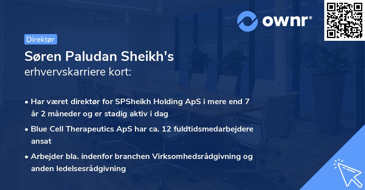 Søren Paludan Sheikh's erhvervskarriere kort