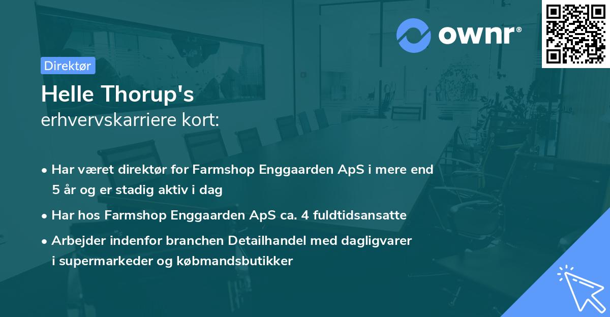 Helle Thorup's erhvervskarriere kort