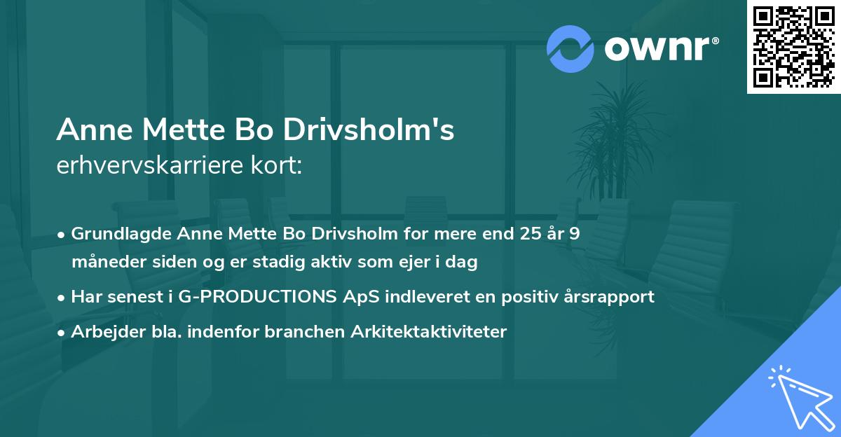 Anne Mette Bo Drivsholm's erhvervskarriere kort