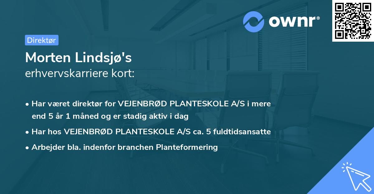 Morten Lindsjø's erhvervskarriere kort