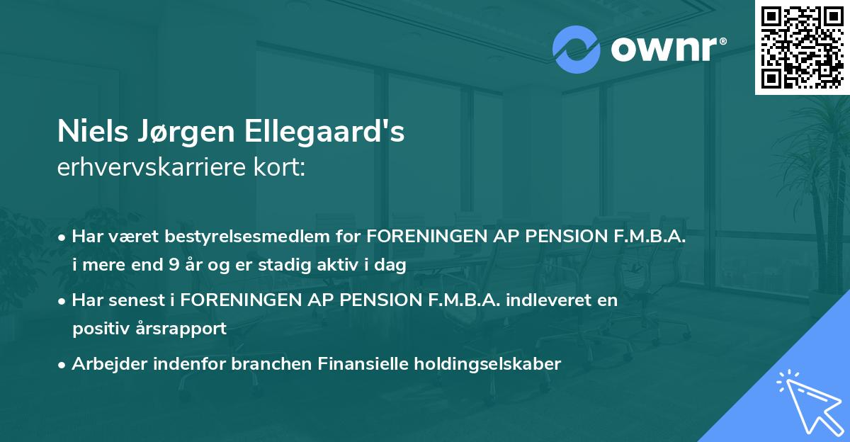 Niels Jørgen Ellegaard's erhvervskarriere kort
