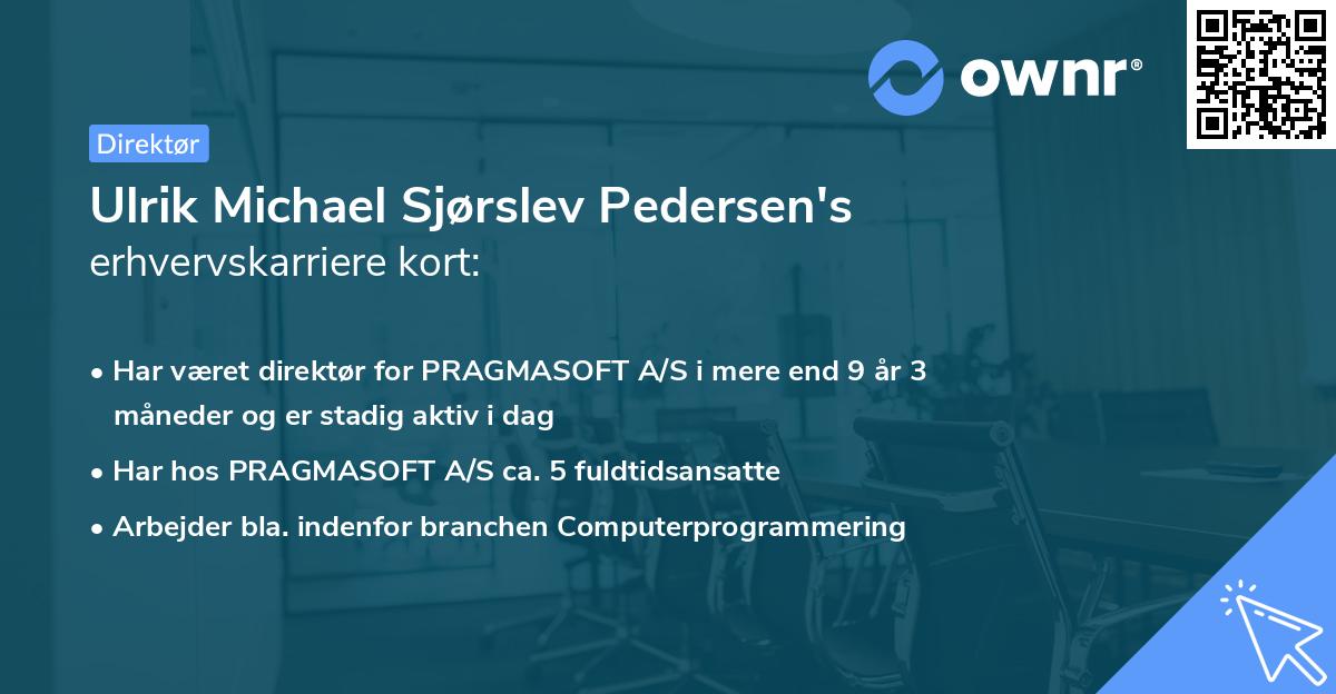 Ulrik Michael Sjørslev Pedersen's erhvervskarriere kort