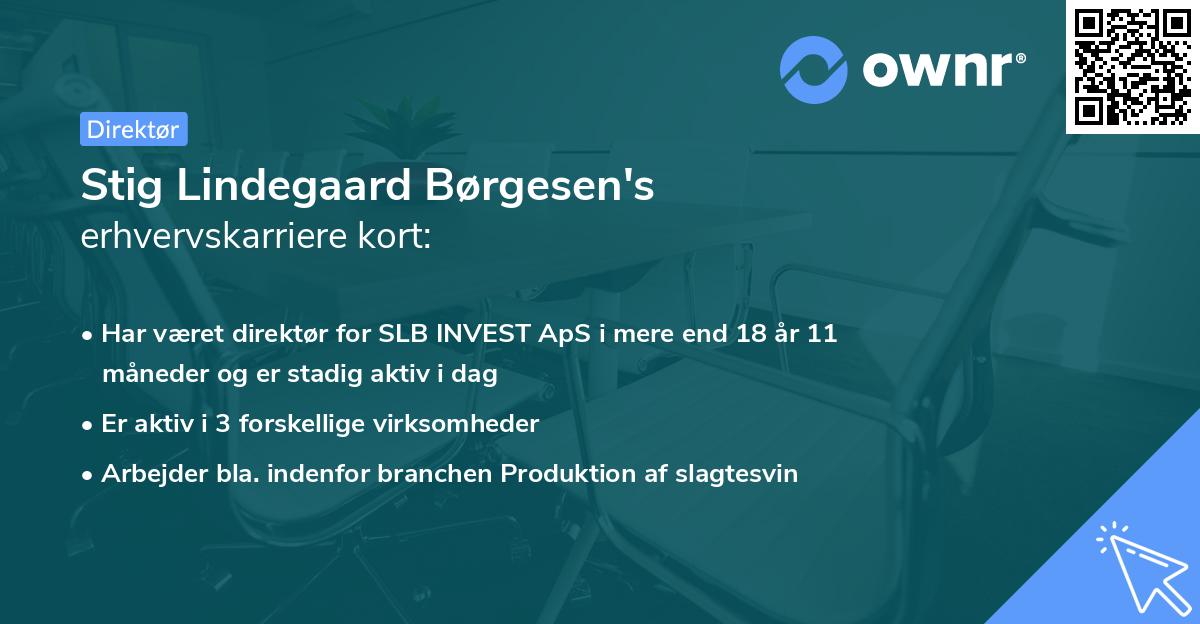 Stig Lindegaard Børgesen's erhvervskarriere kort