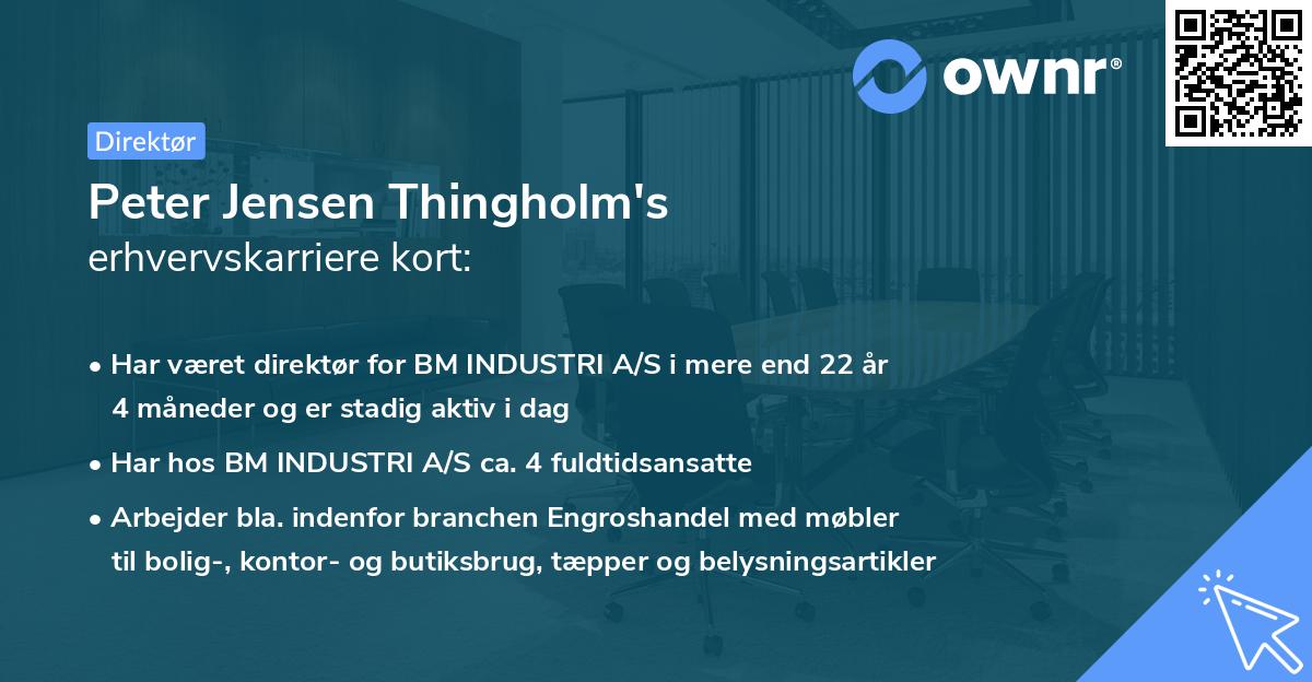 Peter Jensen Thingholm's erhvervskarriere kort