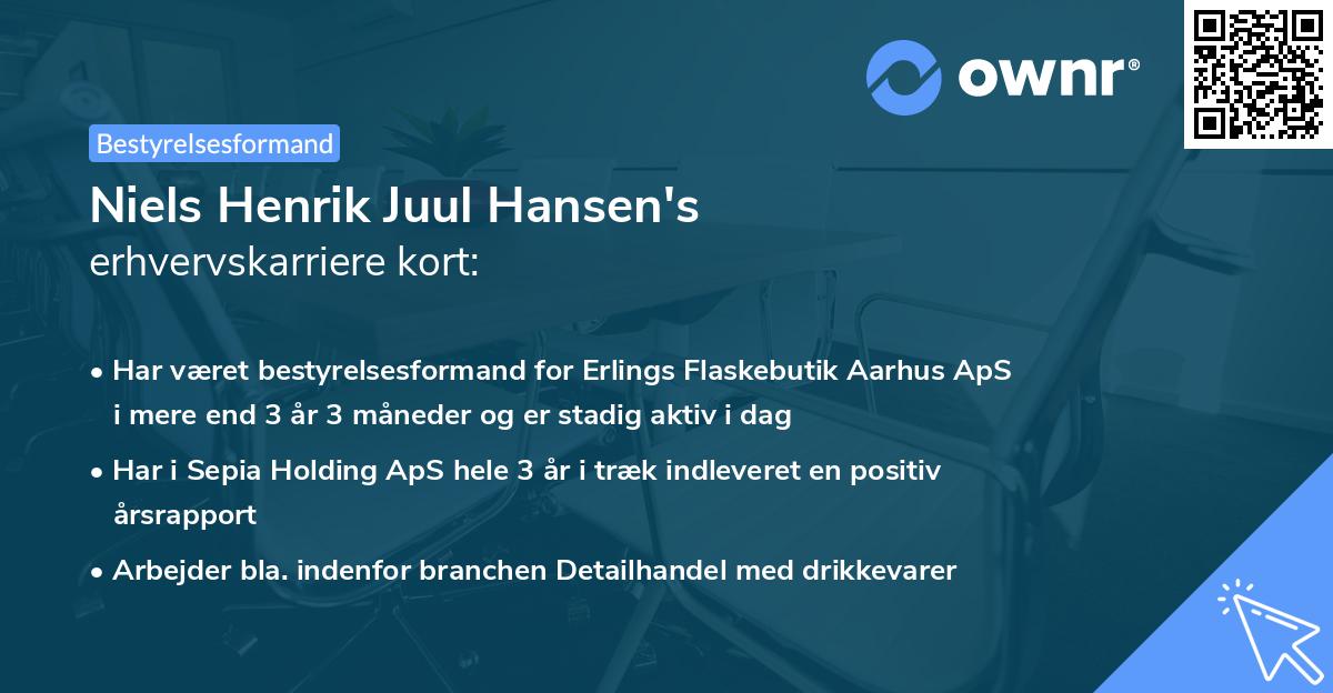 Niels Henrik Juul Hansen's erhvervskarriere kort