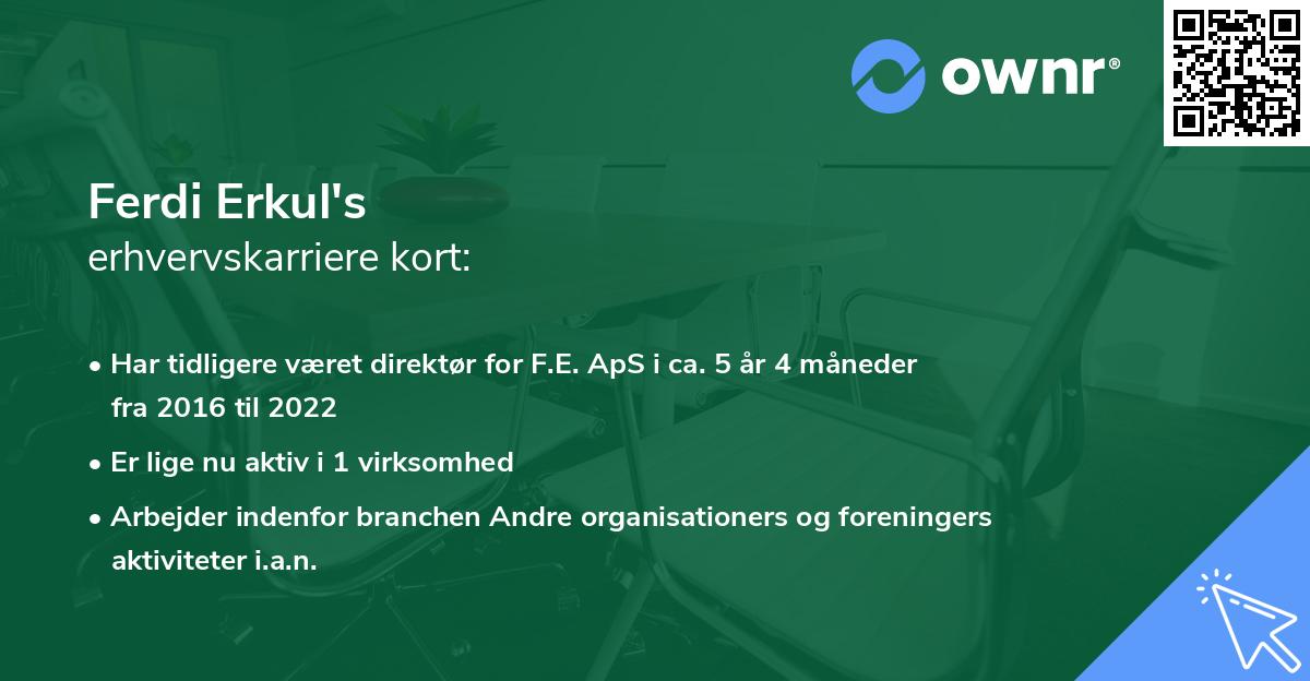 Ferdi Erkul's erhvervskarriere kort