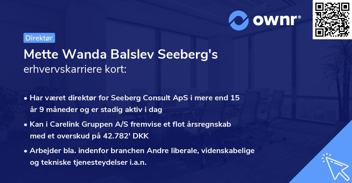 Mette Wanda Balslev Seeberg's erhvervskarriere kort