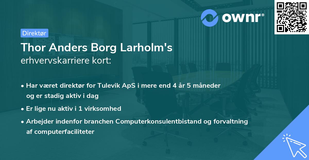 Thor Anders Borg Larholm's erhvervskarriere kort