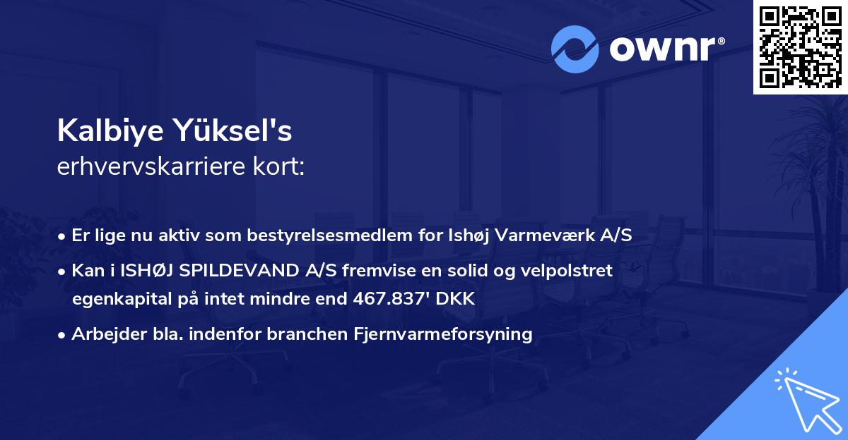 Kalbiye Yüksel's erhvervskarriere kort