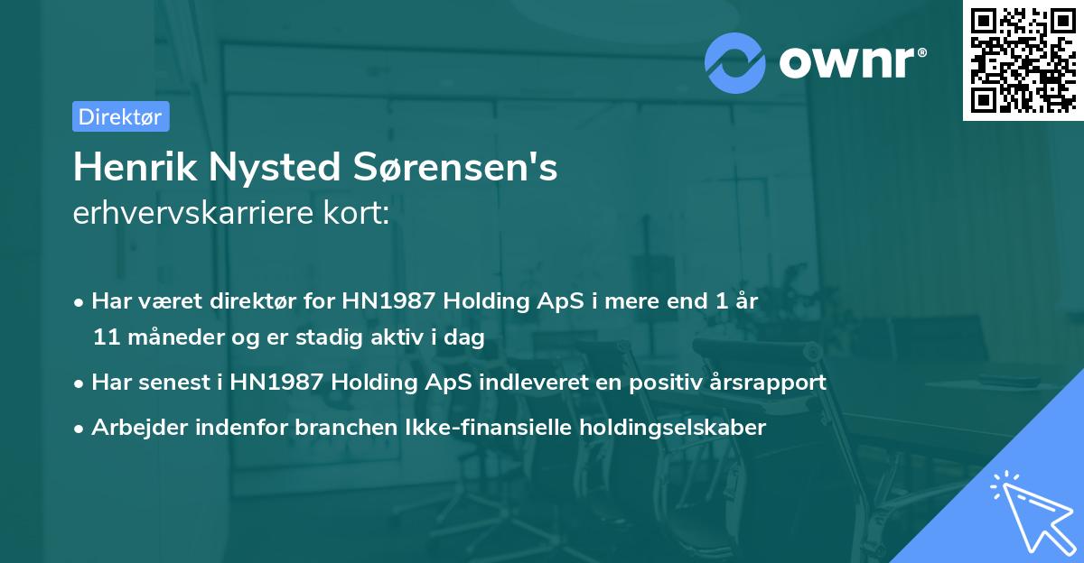 Henrik Nysted Sørensen's erhvervskarriere kort