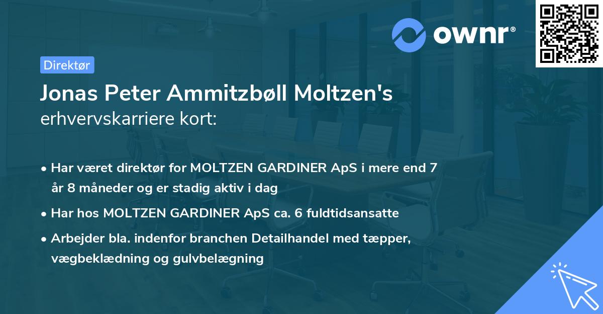 Jonas Peter Ammitzbøll Moltzen's erhvervskarriere kort