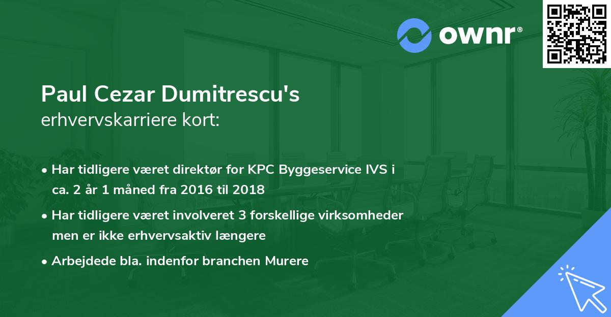 Paul Cezar Dumitrescu's erhvervskarriere kort