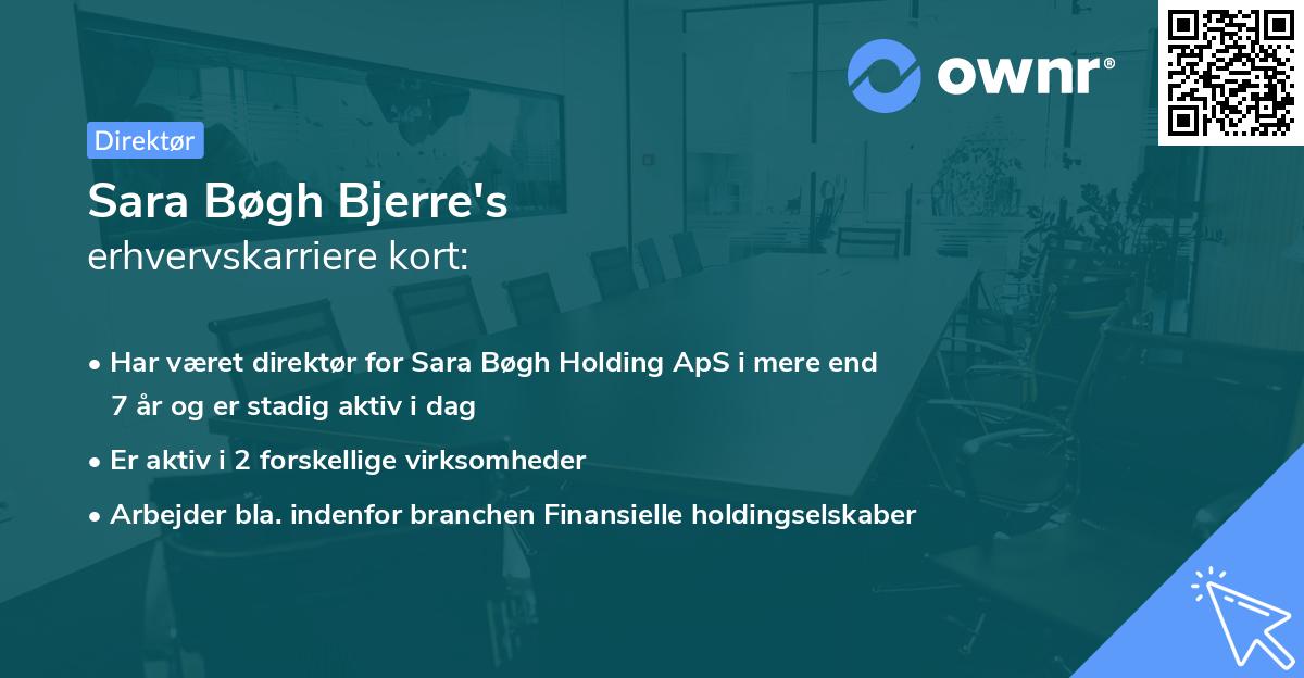 Sara Bøgh Bjerre's erhvervskarriere kort