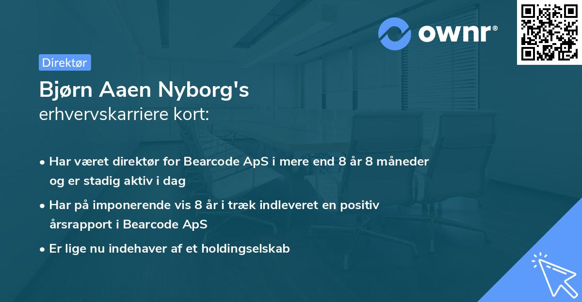 Bjørn Aaen Nyborg's erhvervskarriere kort