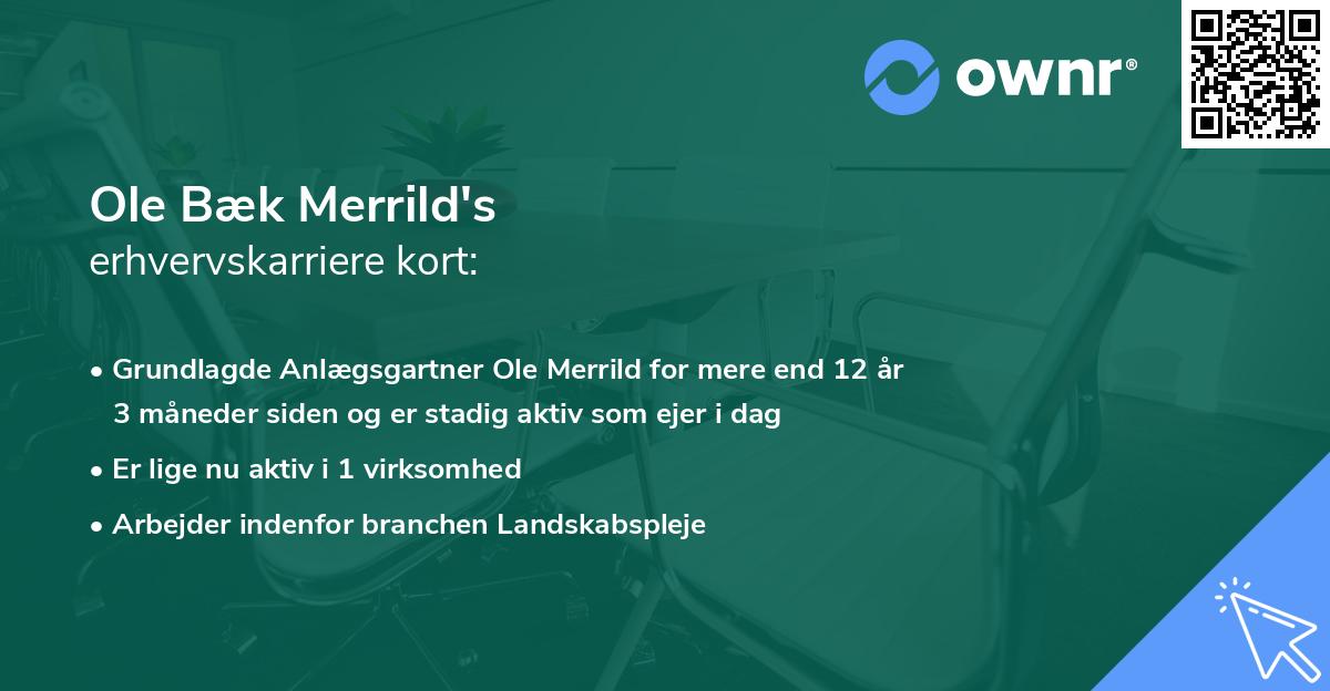 Ole Bæk Merrild's erhvervskarriere kort