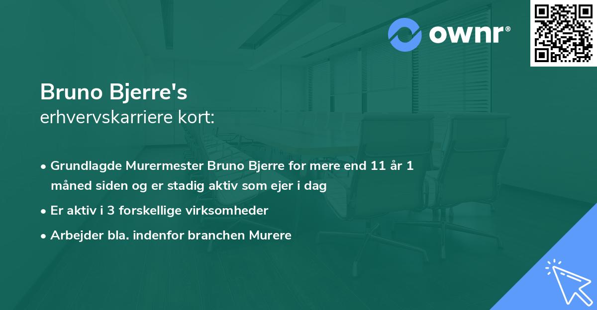 Bruno Bjerre's erhvervskarriere kort