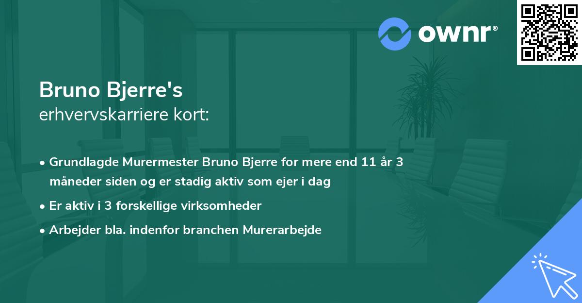 Bruno Bjerre's erhvervskarriere kort