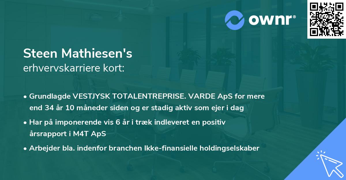 Steen Mathiesen's erhvervskarriere kort